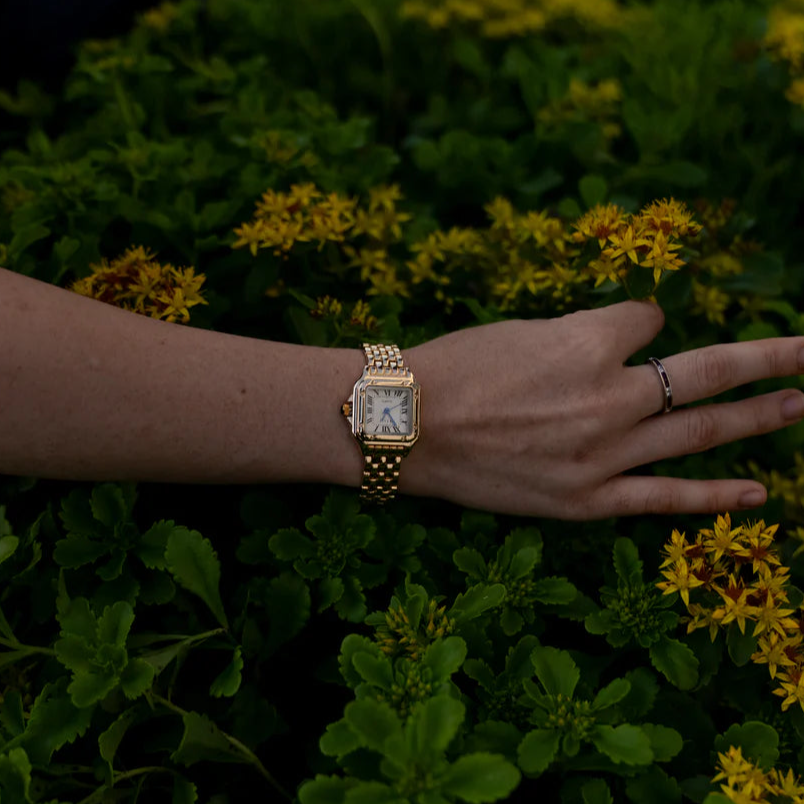 Myrna | Modieus vierkant horloge